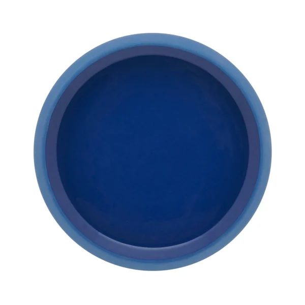 New Gourmet Blue Hollow Plates