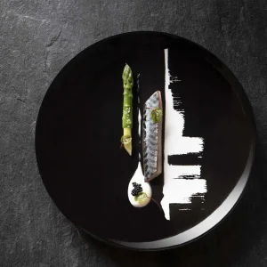 New Modulo Black Arty Creation Presentation Plates