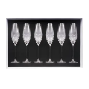 Fashion Newport Twist Champagne Cups And Flutes