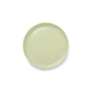 Flash Sale The Green Artichoke Economer's Crockery Flat Plates